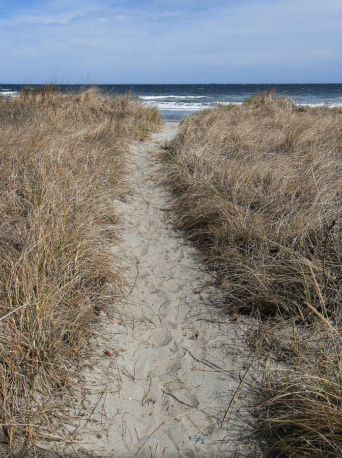 Beach Photograph - The Path by Glenn DiPaola