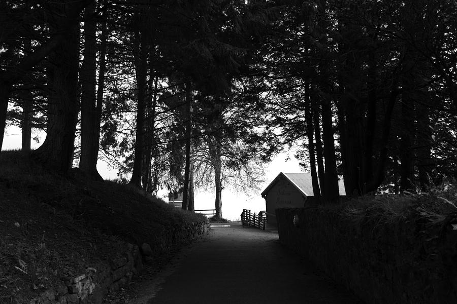 Tree Digital Art - The path leading to The Boathouse Restaurant in Fort Augustus by Ashish Agarwal