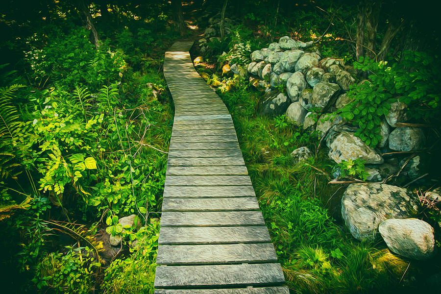 Landscape Photograph - The Path Leads The Way by Karol Livote