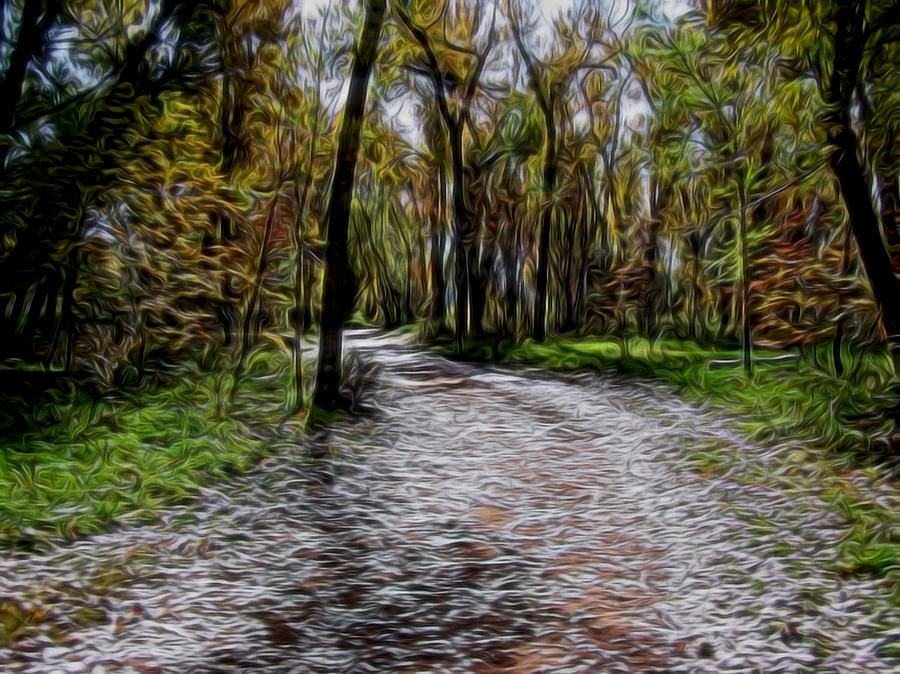 The Path of Dreams Digital Art Digital Art by Ernest Echols