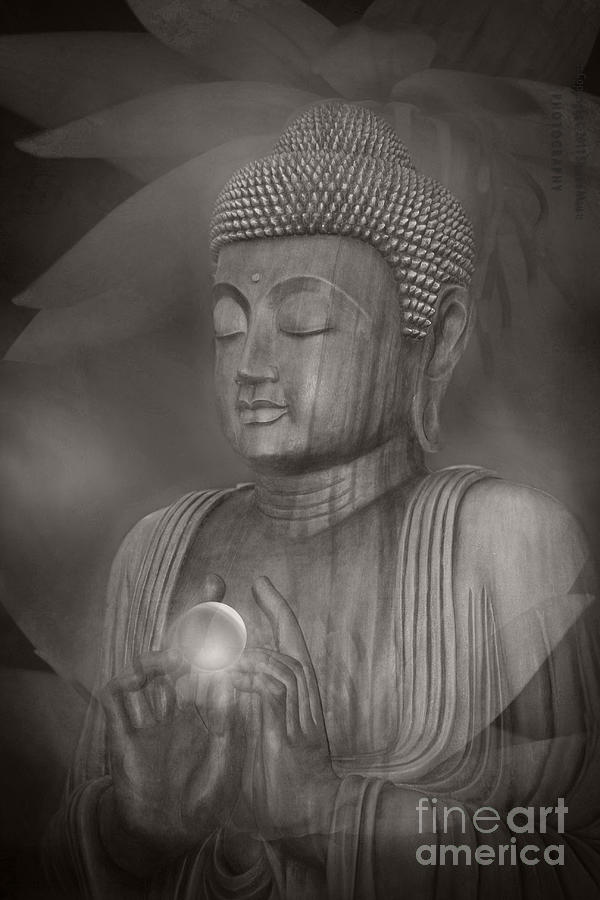 Buddha Photograph - The Path of Peace by Sharon Mau