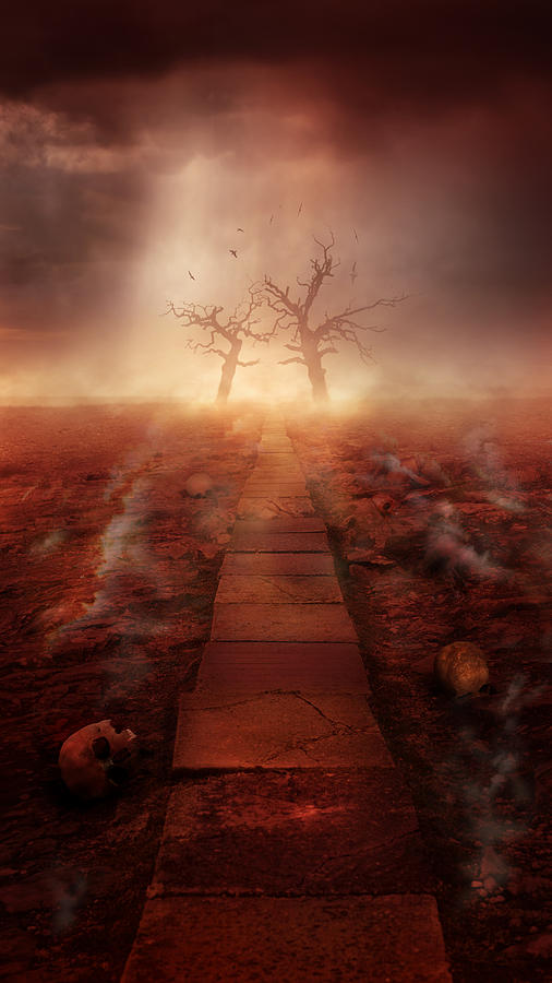 The Path Ot The Dead Photograph by Jaroslaw Blaminsky