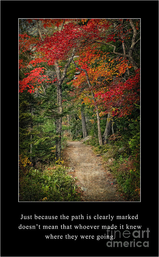 The Path Poster Photograph by Priscilla Burgers