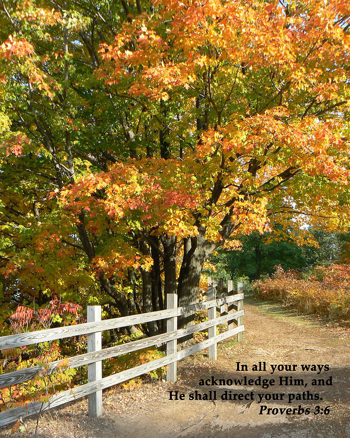 The Path to Life Photograph by Lorraine Keil | Fine Art America