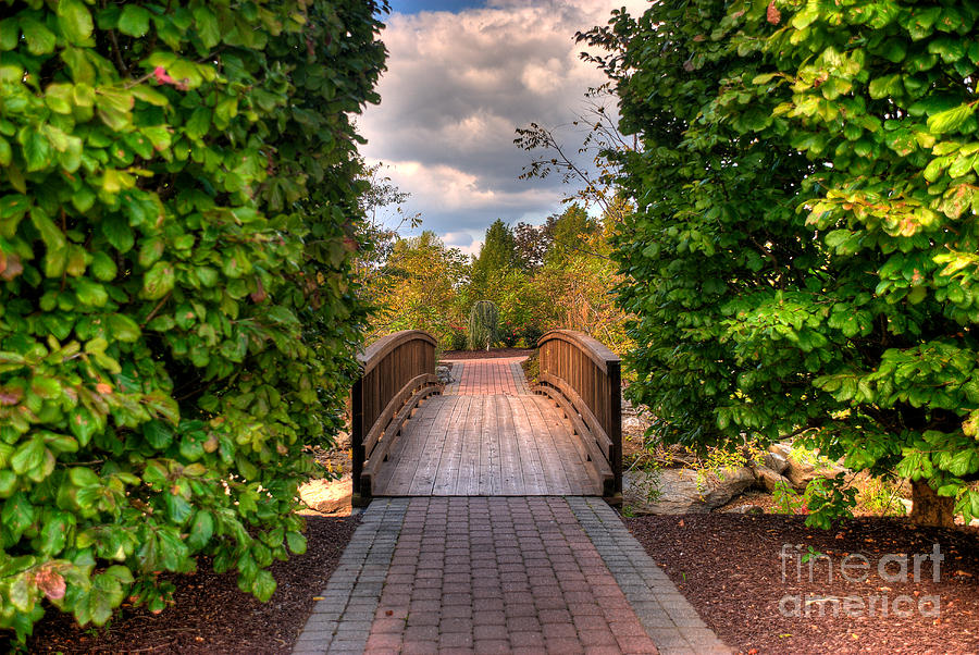 The Path to the Garden Photograph by Mark Dodd