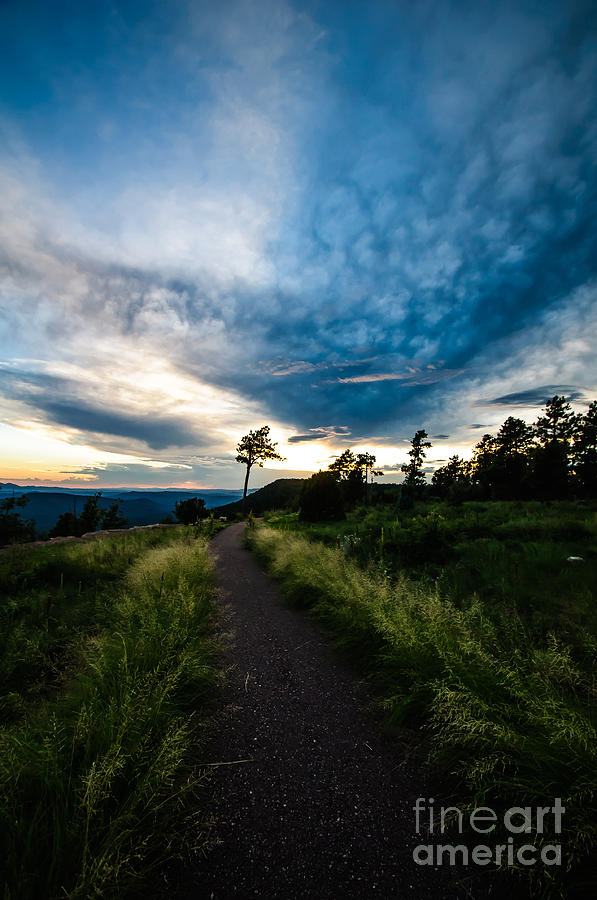 Nature Photograph - The Path to the Horizon by AJ Goldian