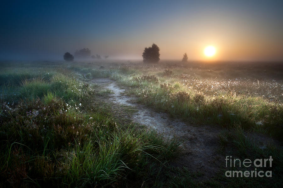 Sunset Photograph - The path to the sun by Olha Rohulya