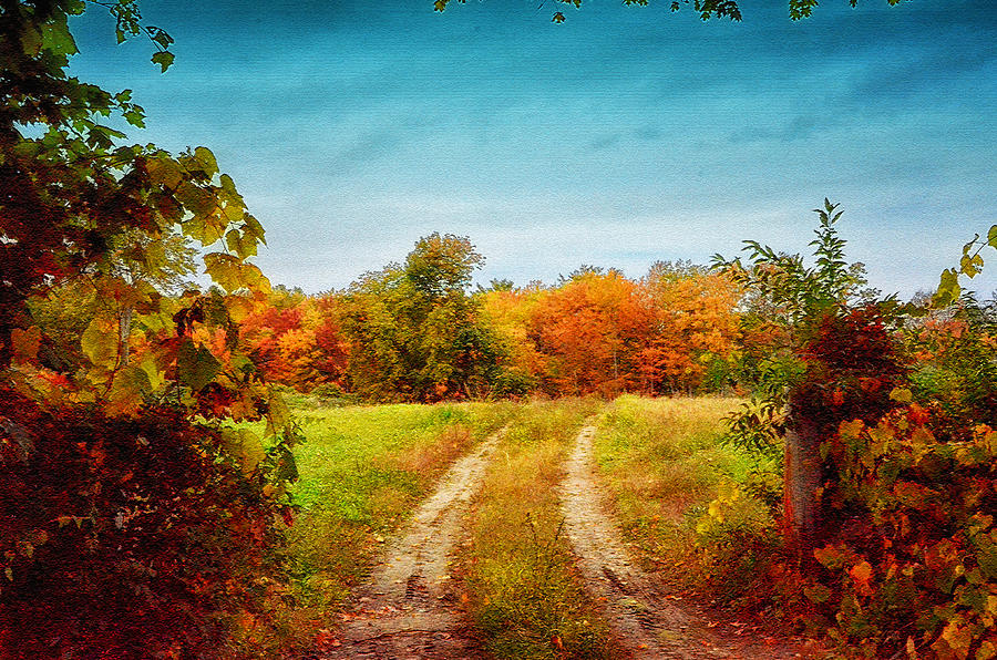 The Path Toward Fall Photograph by Tricia Marchlik