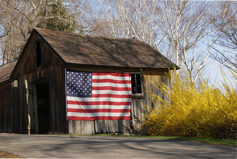 The Patriot in Springtime Photograph by Margie Avellino