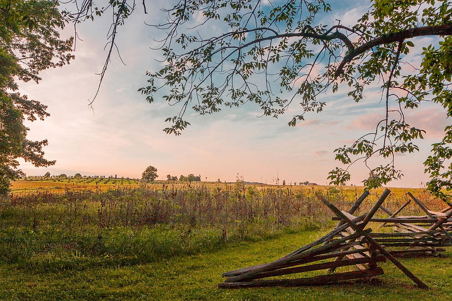 Gettysburg National Park Photograph - The Peach Orchard - Gettysburg by William Ames