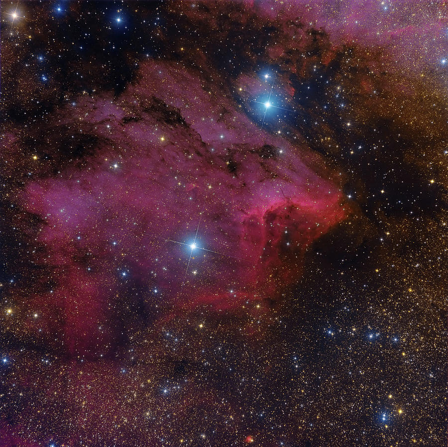 The Pelican Nebula Photograph by Roberto Colombari - Fine Art America