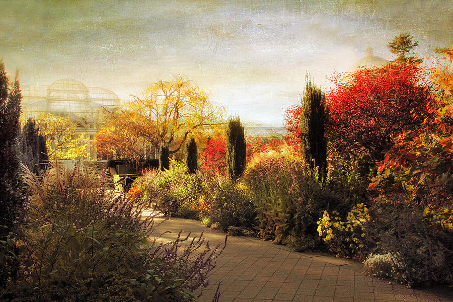 The Perennial Garden Photograph by Jessica Jenney
