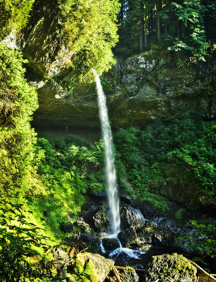 The Person Under Silver Falls Photograph by L J Oakes