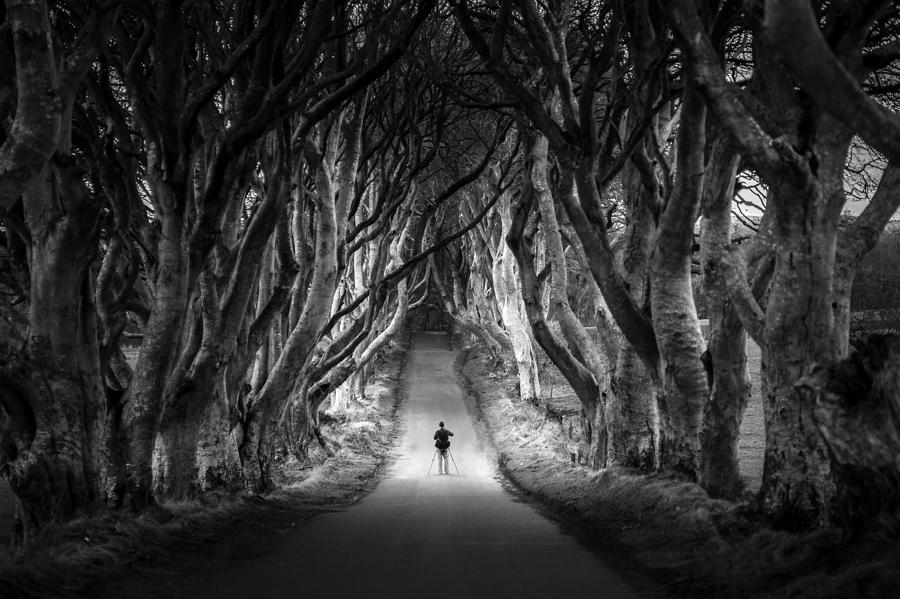 Nature Photograph - The photographer at the Dark Hedges in Northern Ireland by Giuseppe Milo