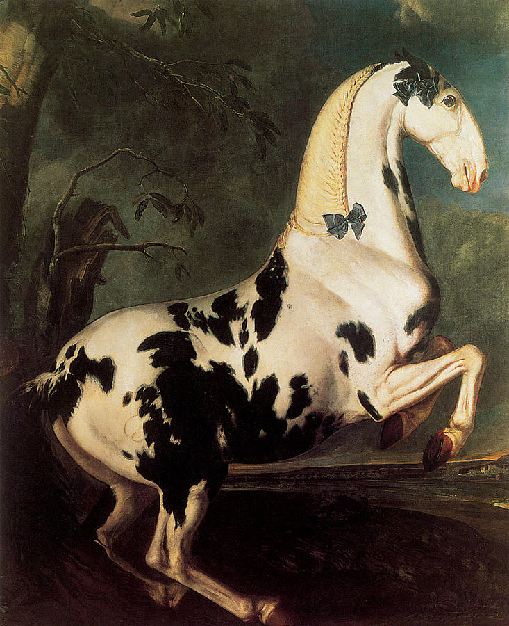 Stallion Painting - The Piebald Stallion at the Eisgruber Stud by Johann George von Hamilton Stallion Painting - The Piebald Stallion at the Eisgruber Stud by Johann George von Hamilton