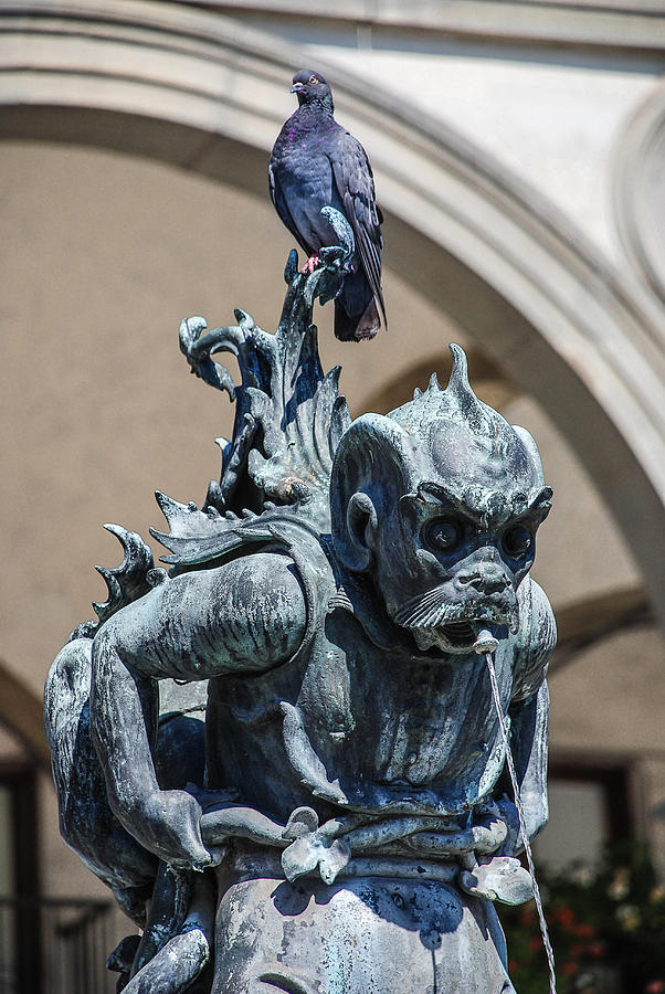 Pigeon Perched on Florences Sea Monster Fountain Photograph by Dany Lison