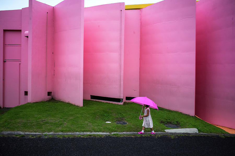 The Pink Color World Photograph by Tetsuya Hashimoto