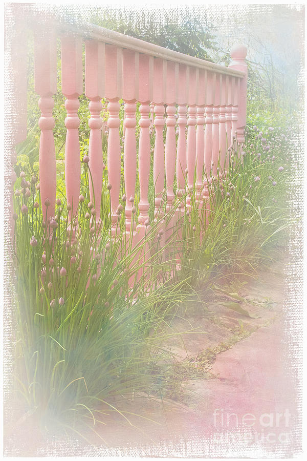 The Pink Fence Photograph by Marilyn Cornwell