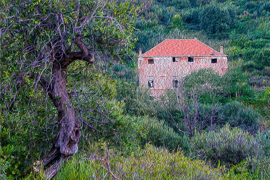 THE PINK FORTRESS HOUSE IN THE WOOD - VILLA FORTEZZA LA COLOMBARA di Alassio Photograph by Enrico Pelos