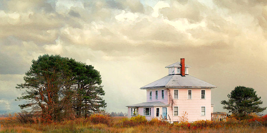 The Pink House Photograph by Karen Lynch
