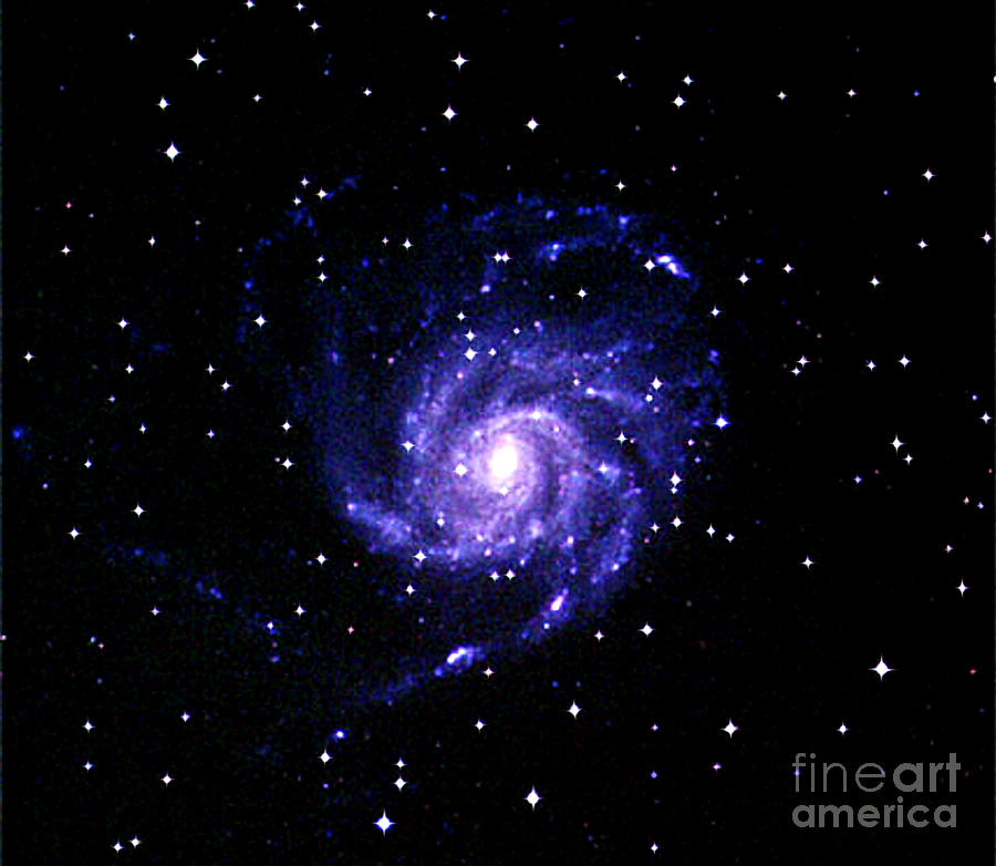 The Pinwheel Galaxy Photograph by John Chumack
