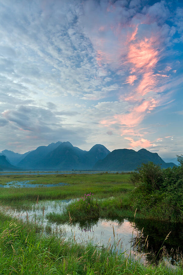 The Pitt River and Coast Mountains Photograph by Michael Russell