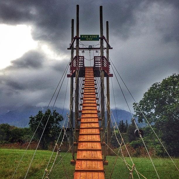 Zipline Photograph - The Plank To king Kong 1200 by Justin DeRoche