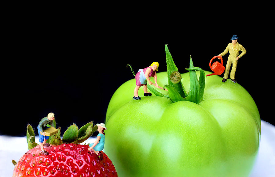 Tomato Painting - The planting tomato and strawberry little people on food by Paul Ge
