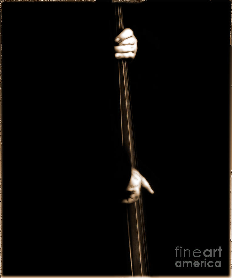 Music Photograph - The Player by Steven Digman Music Photograph - The Player by Steven Digman