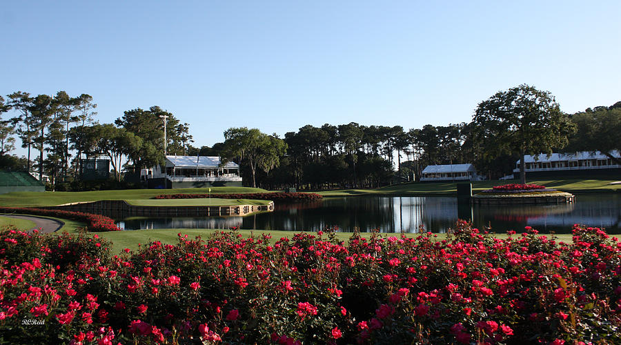 The Players - TPC Sawgrass Island Green 17th Photograph by Ronald Reid
