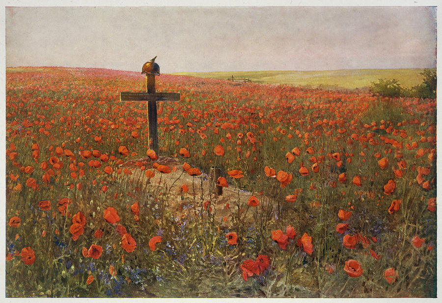 Poppy Drawing - The Poignant Scene Of A Field  Full by Mary Evans Picture Library