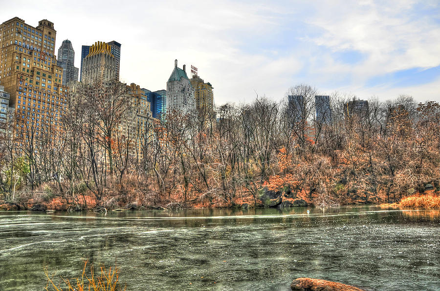 Central Park Photograph - The Pond at Central Park in Winter by Randy Aveille