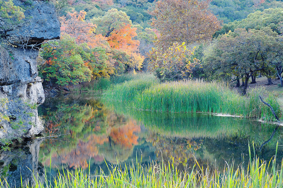The Pond at Lost Maples State Natural Area - Texas Hill Country Photograph by Silvio Ligutti