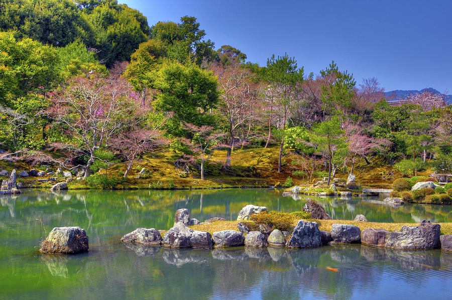 The pond at Tenryuji Temple Photograph by Matt Swinden