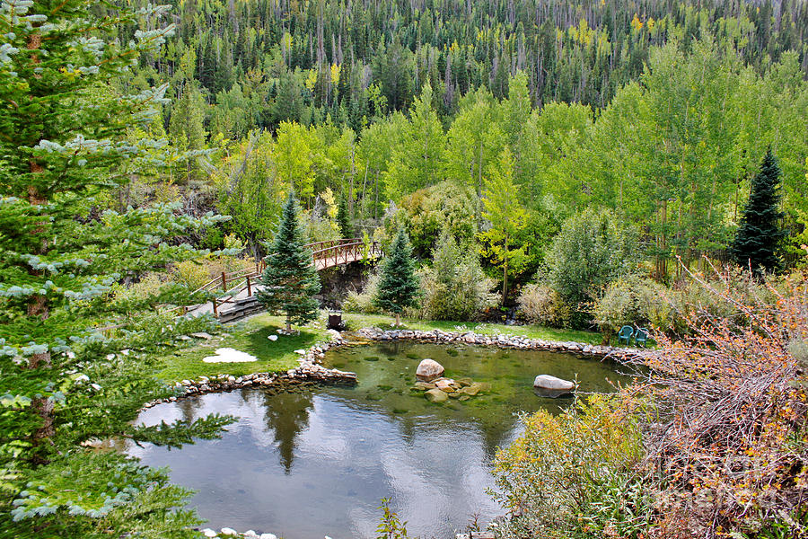 The Pond Behind Monarch Mountain by Janice Rae Pariza