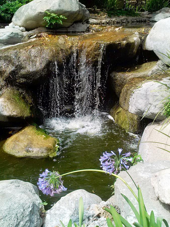 The Pond Photograph by Eve Zimmerle - Fine Art America