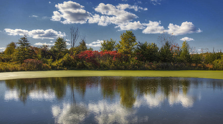 The Pond in Autumn Photograph by Steve Gravano