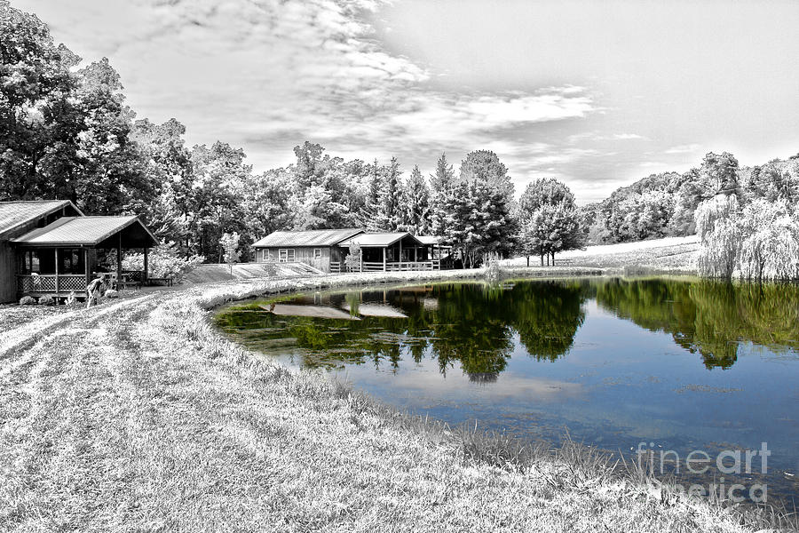 Summer Photograph - The Pond  by Tom Gari Gallery-Three-Photography