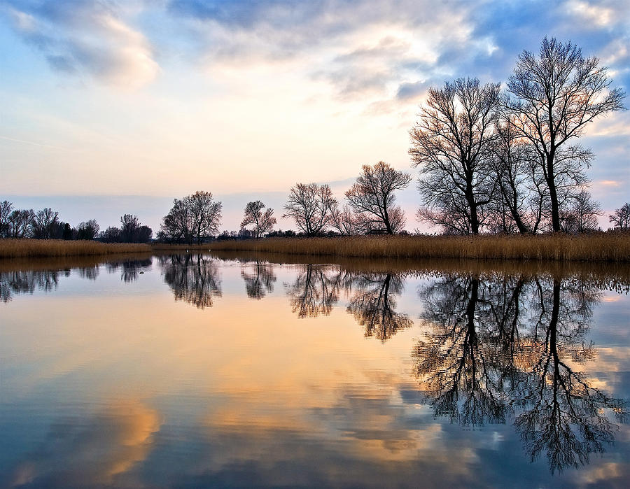 Sunset Photograph - Ponds in Lomna by Tomasz Dziubinski