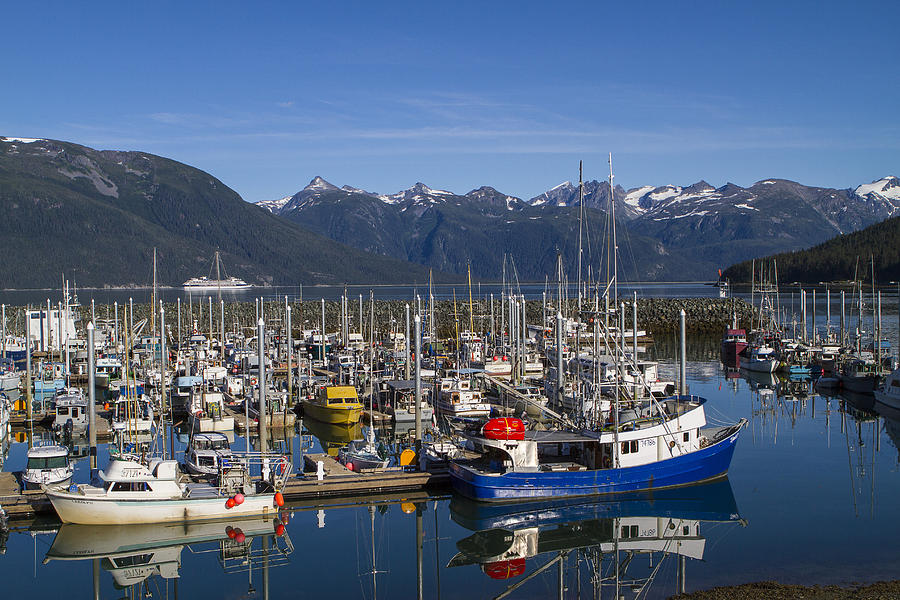 The Port of Haines in Alaska Photograph by Tim Grams