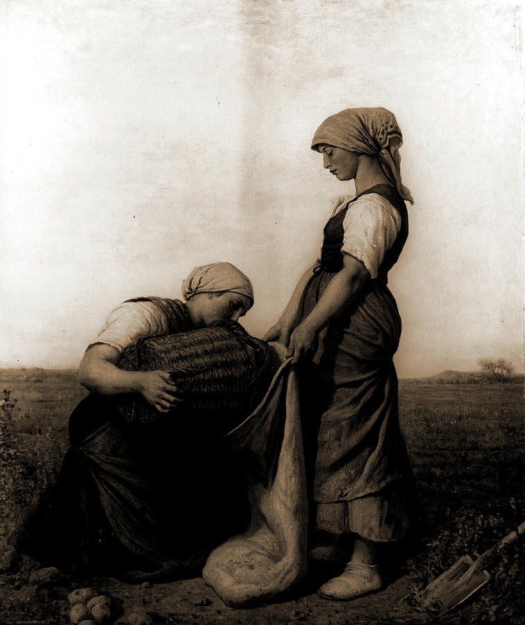 Potato Drawing - The Potato Harvest, Breton, Jules, 1827-1906 by Litz Collection