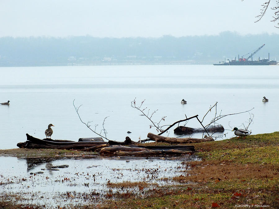 The Potomac River Photograph by Kimmary MacLean