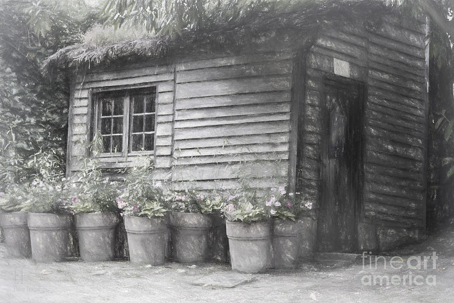 The Potting Shed Photograph by Elaine Teague
