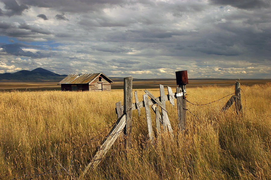 Farm Photograph - The Prairies by Inge Riis McDonald