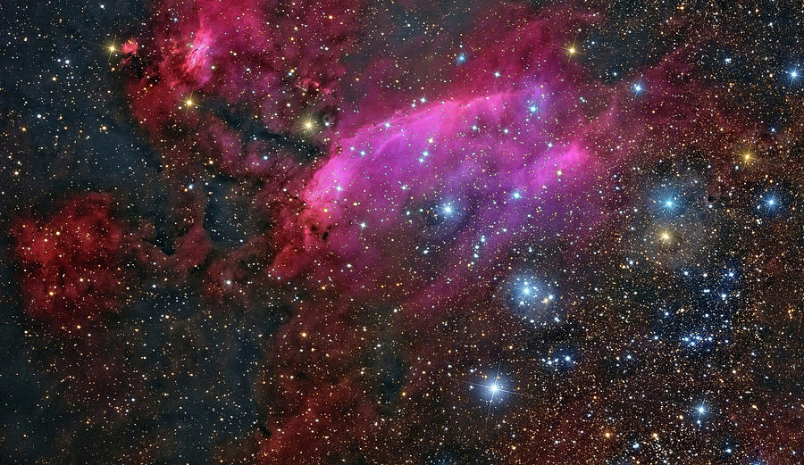 The Prawn Nebula In The Constellation Photograph by Roberto Colombari ...