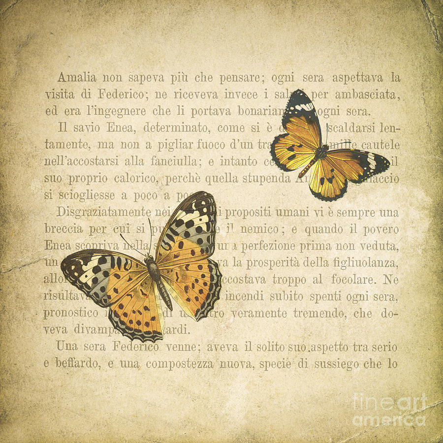 Butterfly Digital Art - The Printed Page 8 by Jan Bickerton
