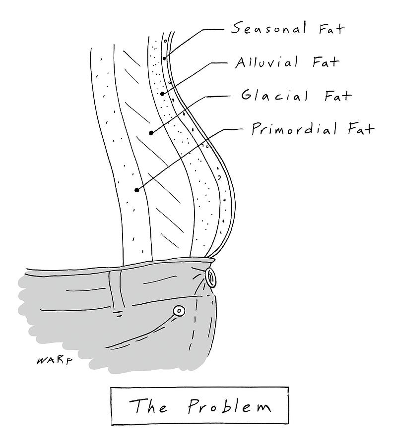 The Problem -- A Diagram Of Various Layers Of Fat Drawing by Kim Warp