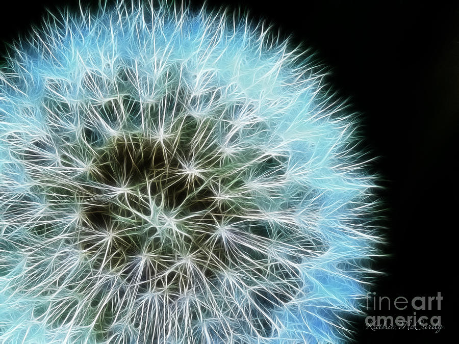 The Prolific Dandelion Photograph by Kathie McCurdy