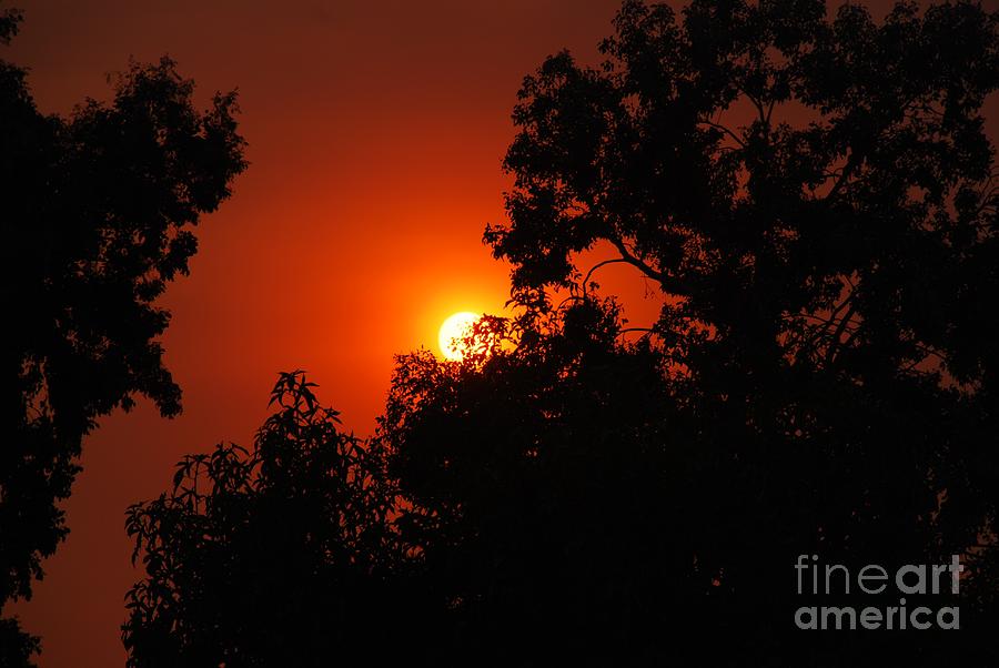 Sunset Photograph - The Promise of a Better Day by Claudia Ellis