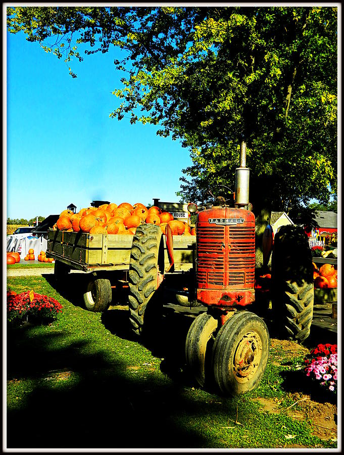 The Pumpkins Have Arrived Photograph by Kathy Barney